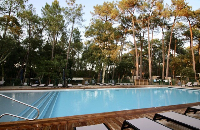 Lovely apartment in villa for 4 guests with A/C, WIFI, pool, TV, terrace and pets allowed