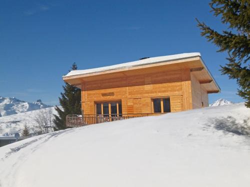 Lovely chalet in Plan Peisey