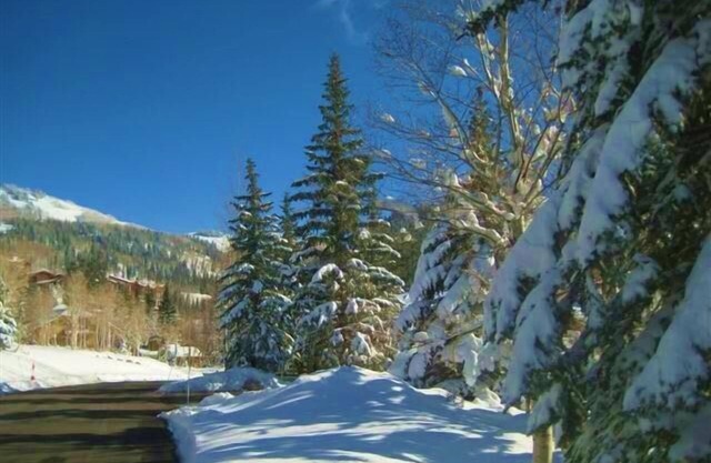 Lovely Newer Remodel: Upper Deer Valley; Views; Spacious; Walk to Lifts & Dining