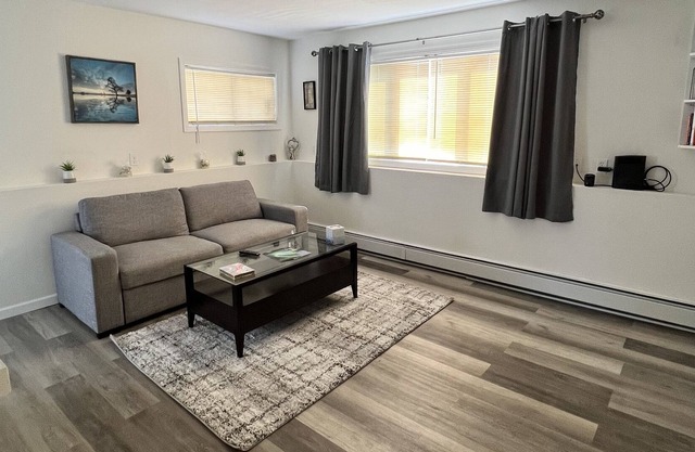 Lovely Newly Remodeled Apt-1 Bedroom Downtown-Perfect for Couples or Remote work