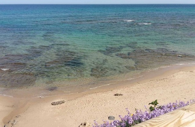 Lubagnu House (Castel Sardo) A stone's throw from the sea
