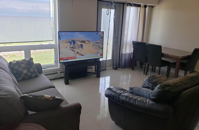 Luxurious Apartment with Wi-Fi and Private Bathroom