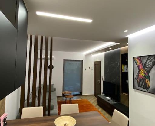 Luxury Apartment