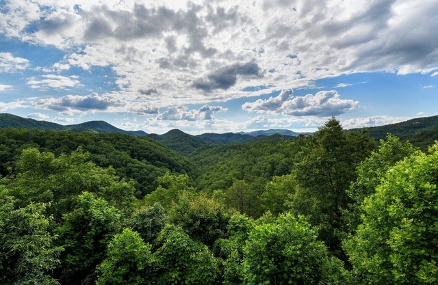 Luxury Log Cabin w/Spectacular View - 2 King Suites, Hot Tub, Hammock & HS Wifi