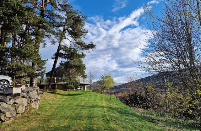 Luxury, Peaceful, Adult Only Romantic Scots Pine Treehouse Near Glenshee