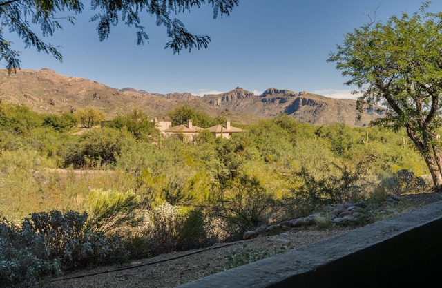 Luxury Ventana Canyon Condo