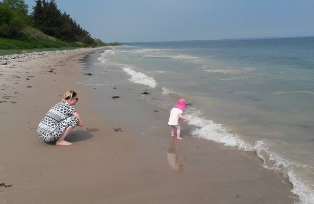 Luxus Refugium for 16 Personen direkt am Kattegat: Strandhof mit Privatstrand