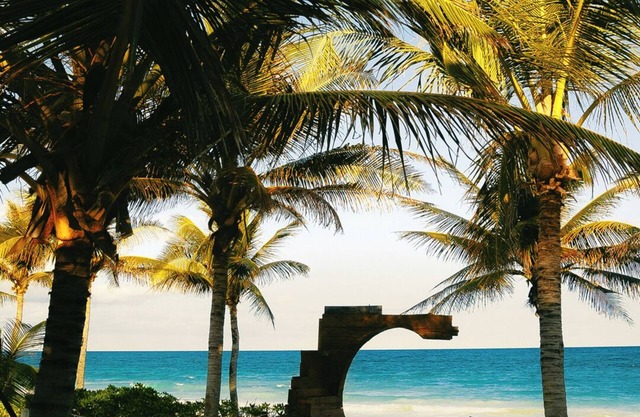 Mía Tulum Tribe
