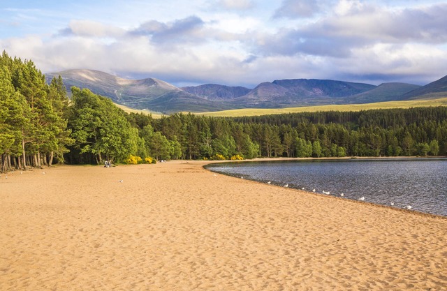Macdonald Aviemore Woodland Lodges