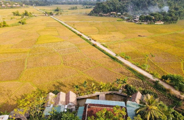 mai chau rice fields homestay