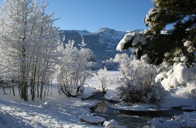 Mammoth - Meadow & Mammoth Creek Views - Snowcreek #69nTOML-CPAN-16455