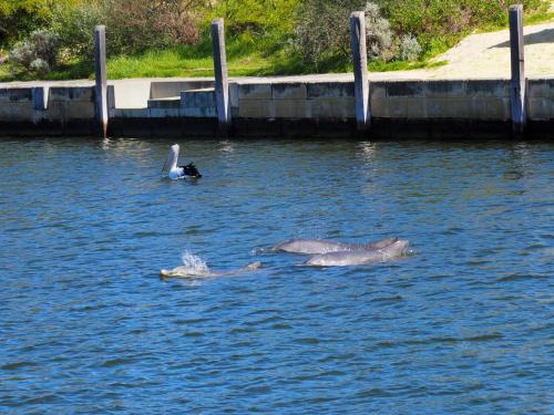 Mandurah Island Retreat