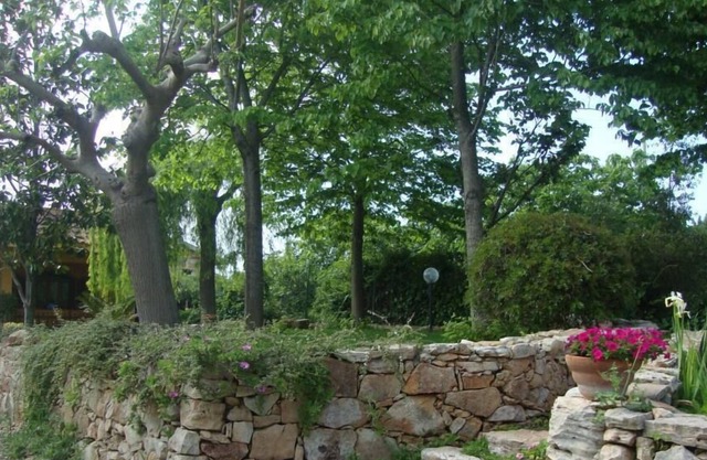 mansion - CASARANO