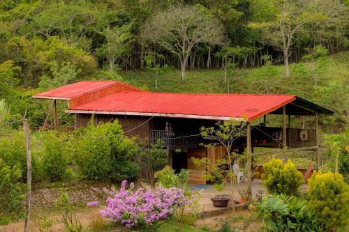 Marcana Occidente