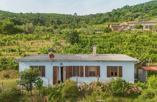 Margherita by Interhome