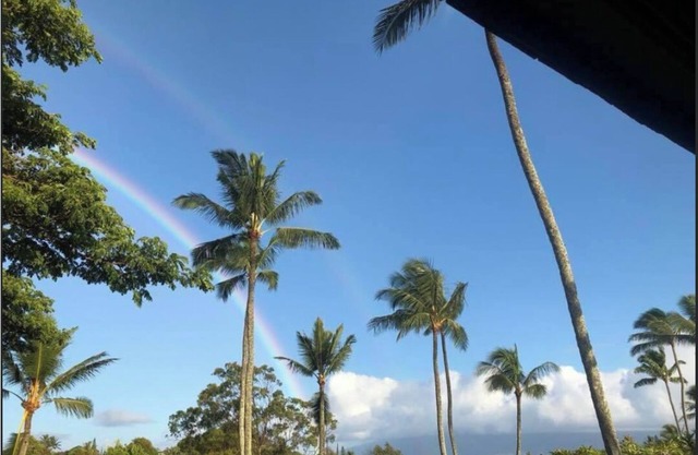 MAUI BEAUTY ~ Tropical Napili Bay Lahaina CONDO ~1BR King ~ Kitchen ~ AC!