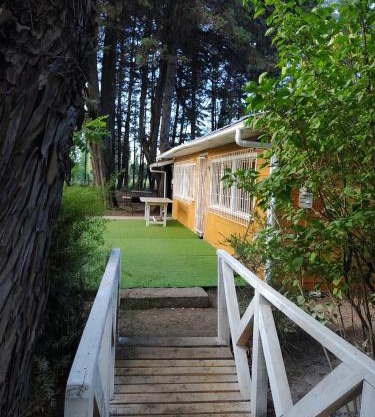 Mi refugio arbolado