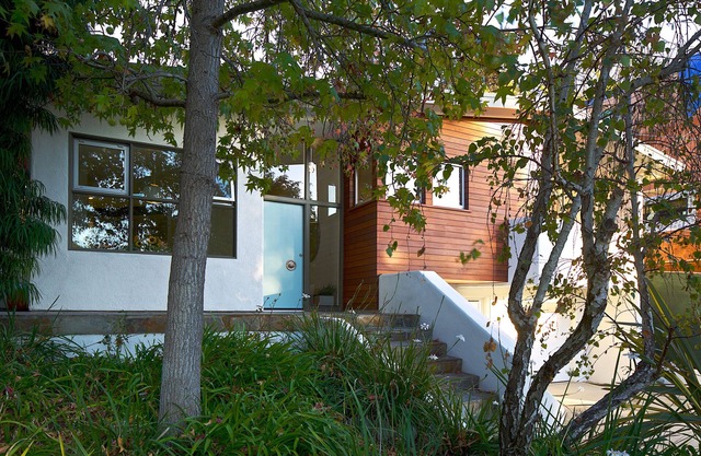 Mid-Century Santa Monica Canyon Home. Hidden Gem. Beautiful walk to beach.