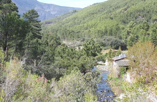 Mill rehabilitated with Natural Pool and Barbecue in natural environment