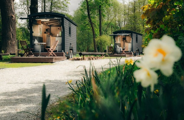 Mobile home for 2 guests with 10m² in Lübbenau/Spreewald (249777)
