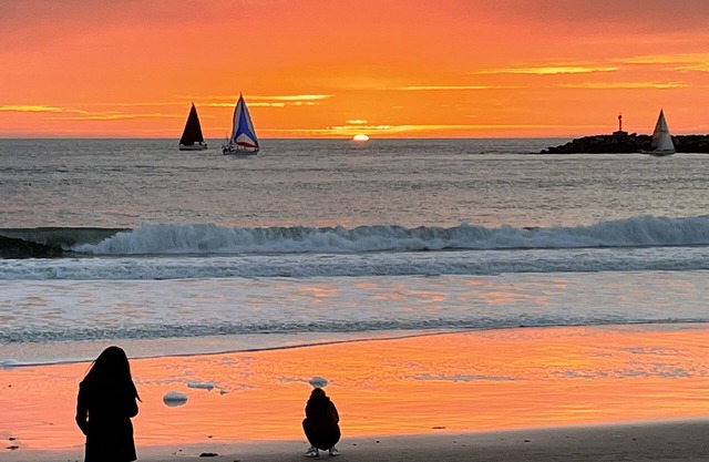 Modern Beach Life, Upper Unit