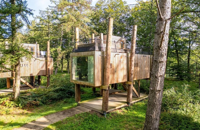 Modern Escape in Nature