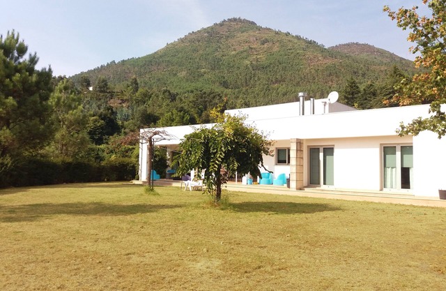 Modern villa, set in a green spot, ideal for families or groups.