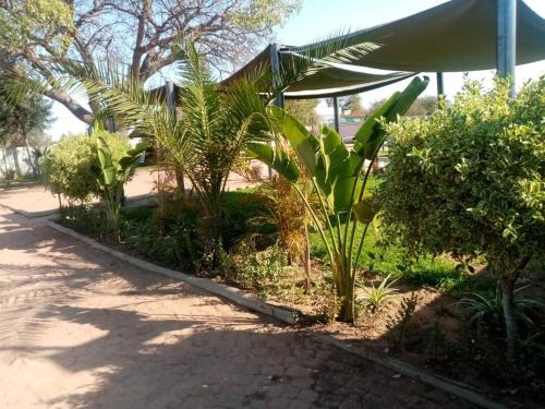 Modipane Guest Lodge