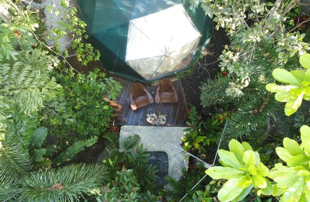 Momotus Glamping