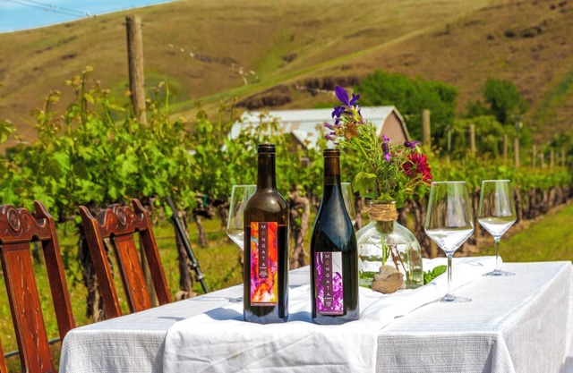 Moonrise Suite in a Vineyard + Winery!