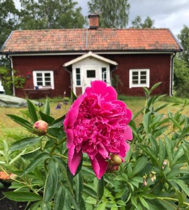 Mormors stuga har charmigt torrdass och utedusch i trädgården