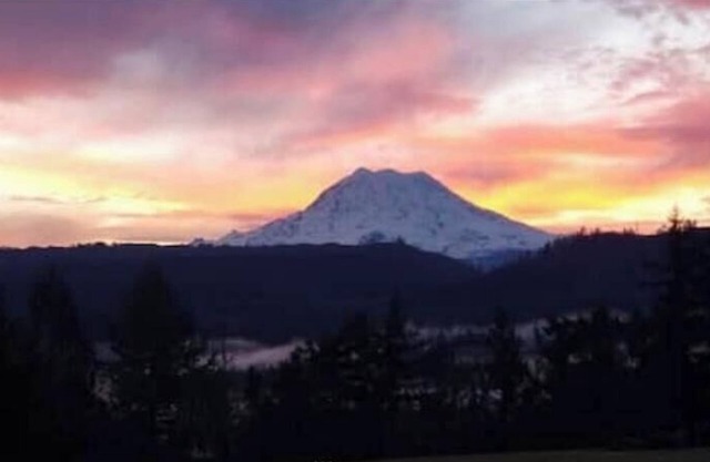Mount rainier wonderful views