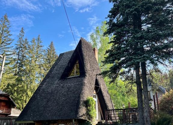 Mountain Getaway Cabin