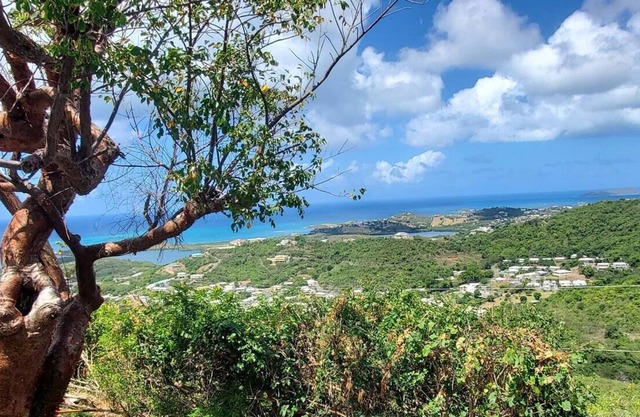 Mt. Welcome Lookout Cottage w/Buck Island View