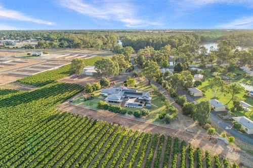 Nepeta Cataria Estate - Echuca Holiday Homes
