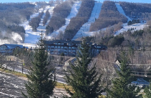 NEW 5 Bed 5 1/2 Bath Townhouse Walk To Skiing! 900 sq ft Of Mountan View Decks!