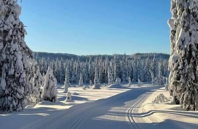 New cabin at Skeikampen, perfect for families!