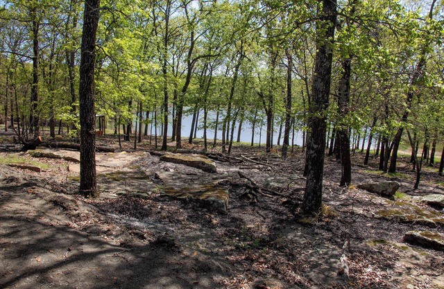 New Cabin on Private Lake with Hot Tub, Gas Grill, Fire Pit & Swings