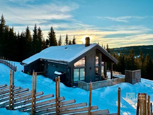 New cabin with sauna and ski in out