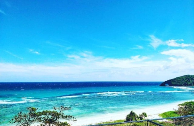 New Paradise Ocean View Apartment (DOT accredited)