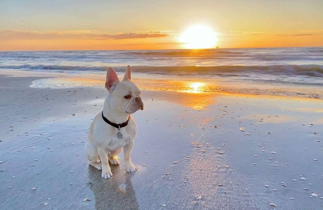 New! Pet & Family Friendly*On the Bay