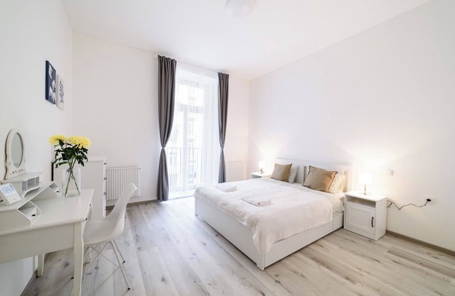 New spacious aparment near the Dancing house