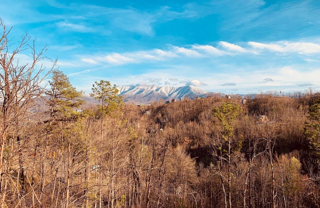 Newer Built Cabin! View of Mount LeConte! Hot tub! Game Room!