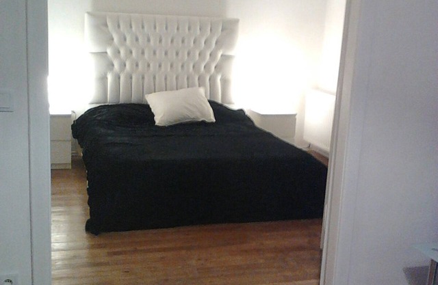 Newly renovated apartment near the Hofburg