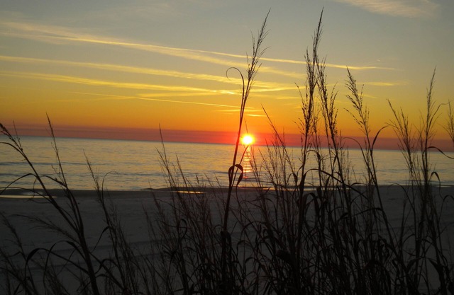 Newly Renovated with Great Location on the Gulfside.