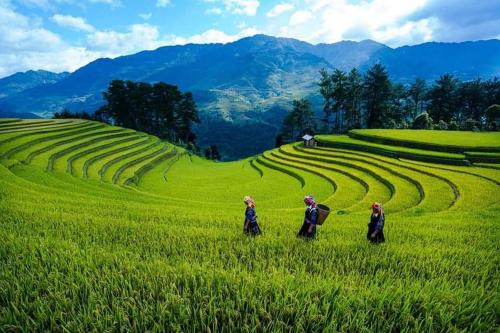 Nhà nghỉ Phú Lý