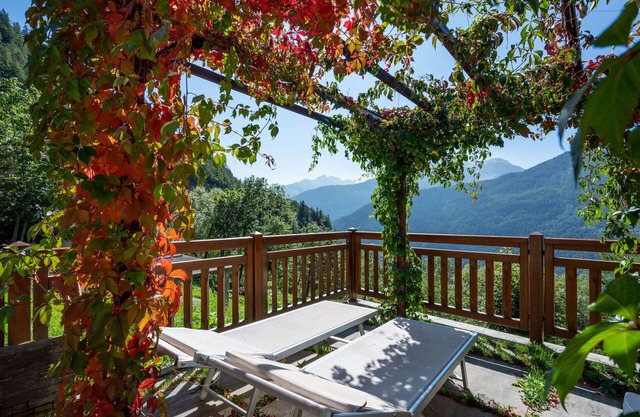 Nice apartment for 4 people with WIFI, TV and pets allowed
