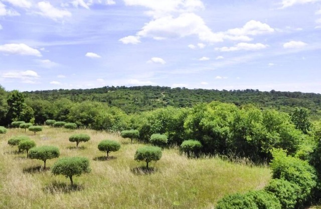 Nice holiday home with private terrace, Arpaillargues-et-Aureillac
