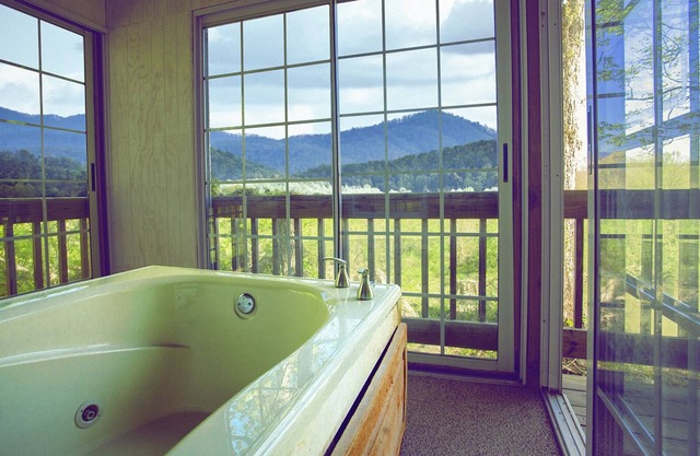 Nolichuckey Bluffs Cabins