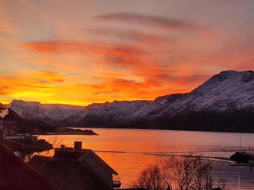Norwegian house